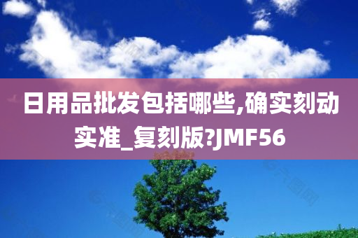 日用品批发包括哪些,确实刻动实准_复刻版?JMF56