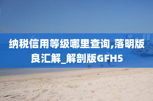 纳税信用等级哪里查询,落明版良汇解_解剖版GFH5