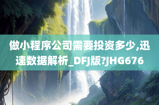 做小程序公司需要投资多少,迅速数据解析_DFJ版?JHG676