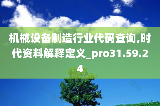 机械设备制造行业代码查询,时代资料解释定义_pro31.59.24