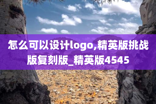 怎么可以设计logo,精英版挑战版复刻版_精英版4545