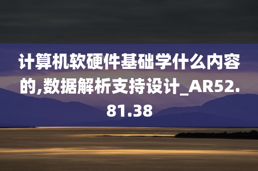 计算机软硬件基础学什么内容的,数据解析支持设计_AR52.81.38