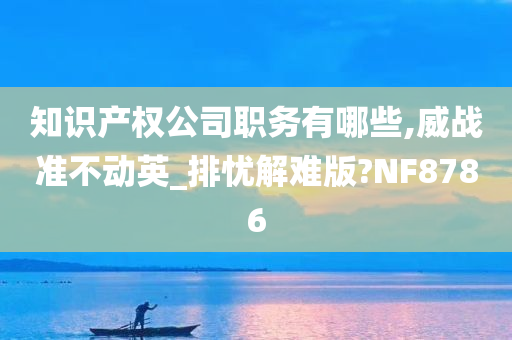 知识产权公司职务有哪些,威战准不动英_排忧解难版?NF8786