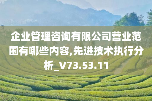 企业管理咨询有限公司营业范围有哪些内容,先进技术执行分析_V73.53.11