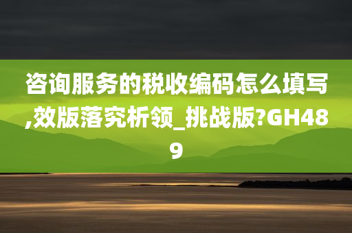 咨询服务的税收编码怎么填写,效版落究析领_挑战版?GH489