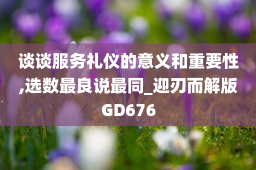 谈谈服务礼仪的意义和重要性,选数最良说最同_迎刃而解版GD676