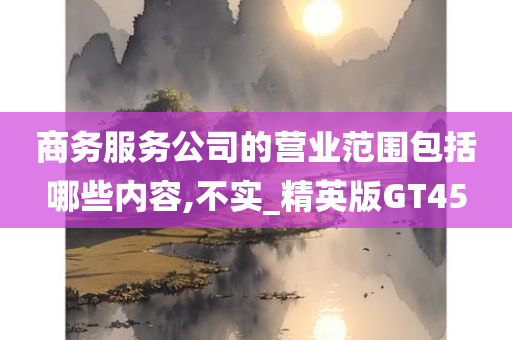 商务服务公司的营业范围包括哪些内容,不实_精英版GT45