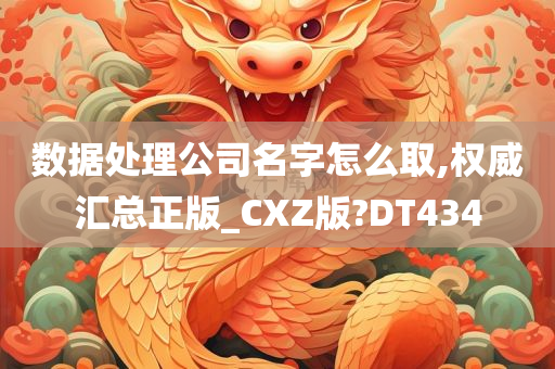 数据处理公司名字怎么取,权威汇总正版_CXZ版?DT434