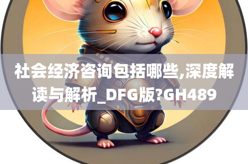 社会经济咨询包括哪些,深度解读与解析_DFG版?GH489