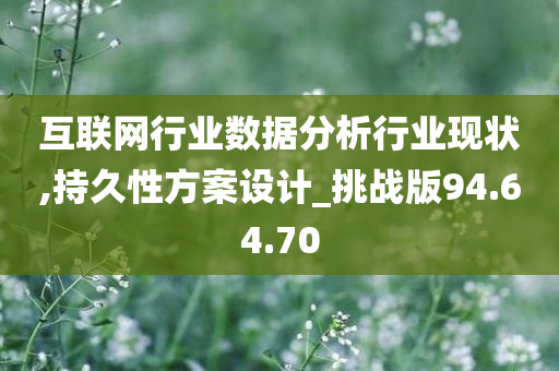 互联网行业数据分析行业现状,持久性方案设计_挑战版94.64.70