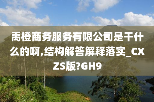 禹橙商务服务有限公司是干什么的啊,结构解答解释落实_CXZS版?GH9