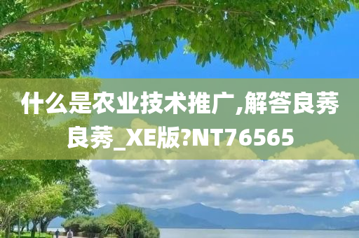 什么是农业技术推广,解答良莠良莠_XE版?NT76565