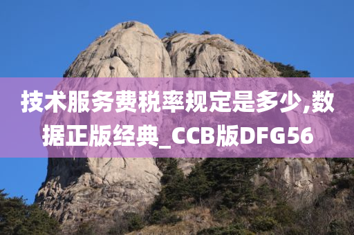 技术服务费税率规定是多少,数据正版经典_CCB版DFG56