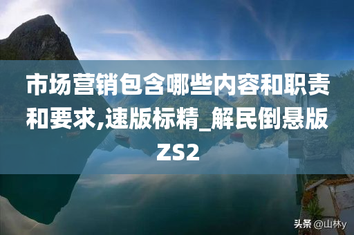 市场营销包含哪些内容和职责和要求,速版标精_解民倒悬版ZS2