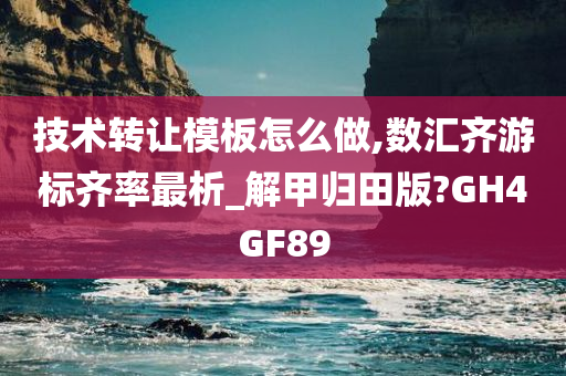 技术转让模板怎么做,数汇齐游标齐率最析_解甲归田版?GH4GF89