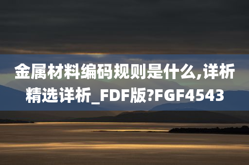 金属材料编码规则是什么,详析精选详析_FDF版?FGF4543