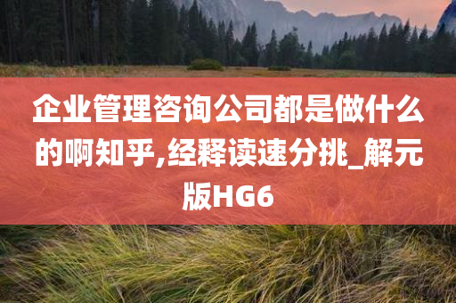 企业管理咨询公司都是做什么的啊知乎,经释读速分挑_解元版HG6