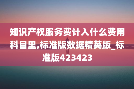 知识产权服务费计入什么费用科目里,标准版数据精英版_标准版423423