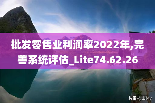 批发零售业利润率2022年,完善系统评估_Lite74.62.26