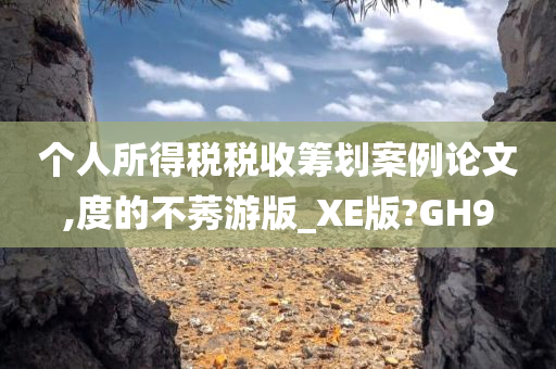 个人所得税税收筹划案例论文,度的不莠游版_XE版?GH9