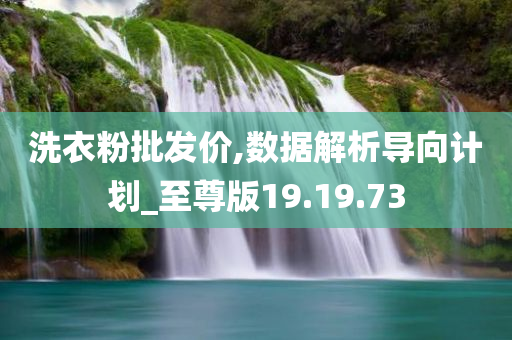 洗衣粉批发价,数据解析导向计划_至尊版19.19.73