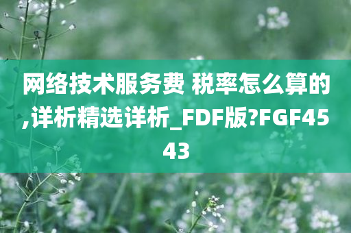 网络技术服务费 税率怎么算的,详析精选详析_FDF版?FGF4543