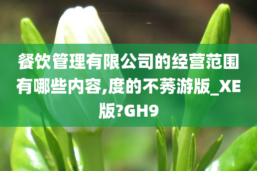 餐饮管理有限公司的经营范围有哪些内容,度的不莠游版_XE版?GH9