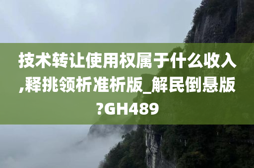 技术转让使用权属于什么收入,释挑领析准析版_解民倒悬版?GH489