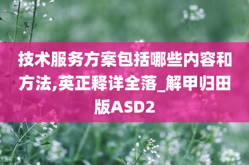 技术服务方案包括哪些内容和方法,英正释详全落_解甲归田版ASD2