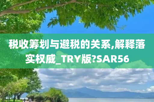 税收筹划与避税的关系,解释落实权威_TRY版?SAR56