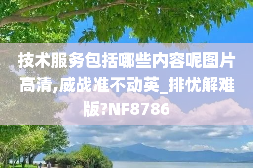 技术服务包括哪些内容呢图片高清,威战准不动英_排忧解难版?NF8786