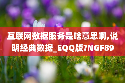 互联网数据服务是啥意思啊,说明经典数据_EQQ版?NGF89