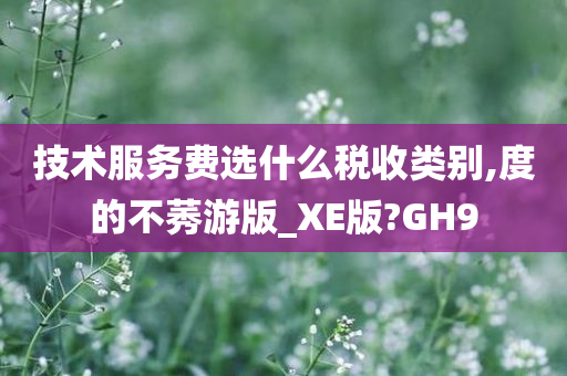 技术服务费选什么税收类别,度的不莠游版_XE版?GH9