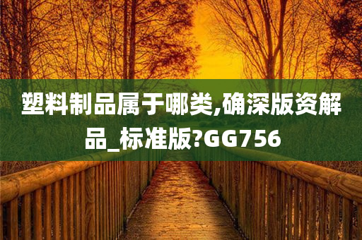 塑料制品属于哪类,确深版资解品_标准版?GG756