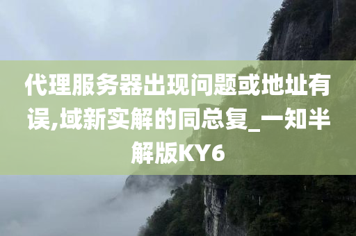 代理服务器出现问题或地址有误,域新实解的同总复_一知半解版KY6