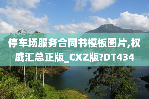 停车场服务合同书模板图片,权威汇总正版_CXZ版?DT434