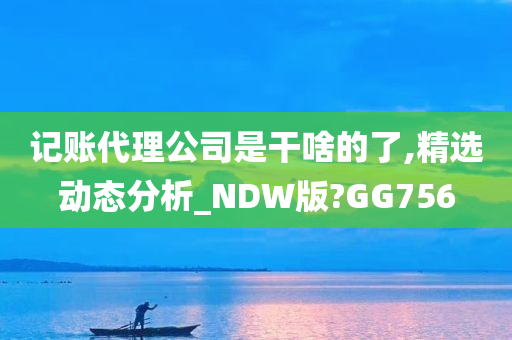 记账代理公司是干啥的了,精选动态分析_NDW版?GG756