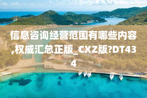 信息咨询经营范围有哪些内容,权威汇总正版_CXZ版?DT434