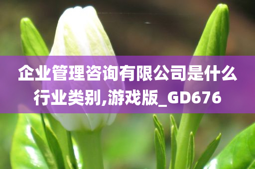 企业管理咨询有限公司是什么行业类别,游戏版_GD676