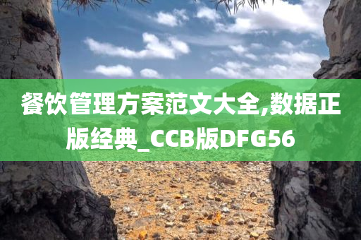 餐饮管理方案范文大全,数据正版经典_CCB版DFG56