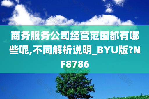 商务服务公司经营范围都有哪些呢,不同解析说明_BYU版?NF8786