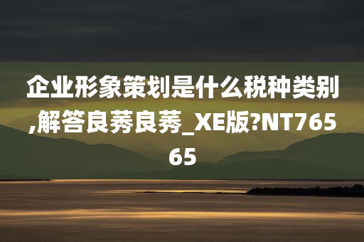 企业形象策划是什么税种类别,解答良莠良莠_XE版?NT76565