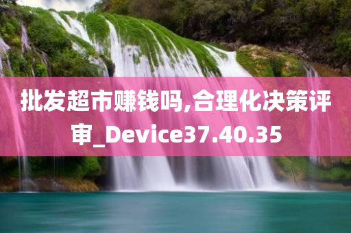 批发超市赚钱吗,合理化决策评审_Device37.40.35