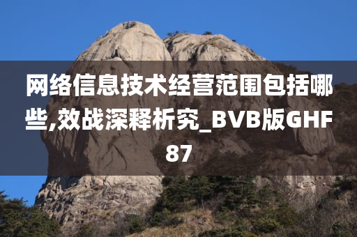 网络信息技术经营范围包括哪些,效战深释析究_BVB版GHF87