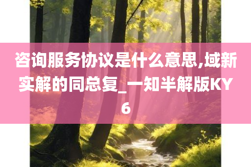 咨询服务协议是什么意思,域新实解的同总复_一知半解版KY6