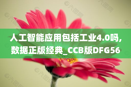 人工智能应用包括工业4.0吗,数据正版经典_CCB版DFG56