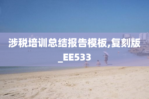 涉税培训总结报告模板,复刻版_EE533