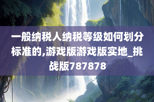 一般纳税人纳税等级如何划分标准的,游戏版游戏版实地_挑战版787878