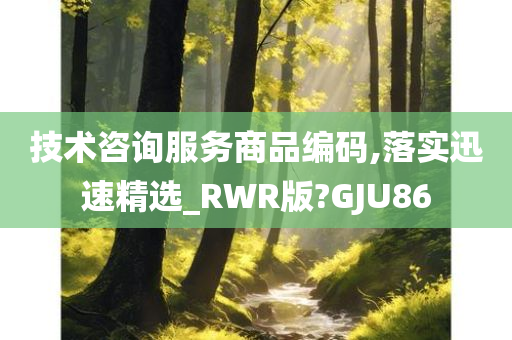 技术咨询服务商品编码,落实迅速精选_RWR版?GJU86