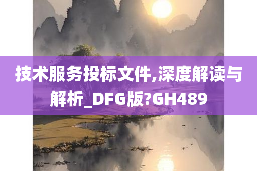 技术服务投标文件,深度解读与解析_DFG版?GH489